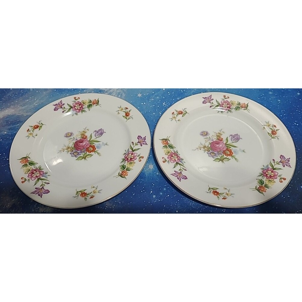 Vintage Aladdin Dresdenia Fine China 6 1/2" Salad Plate Occupied Japan  set of 2